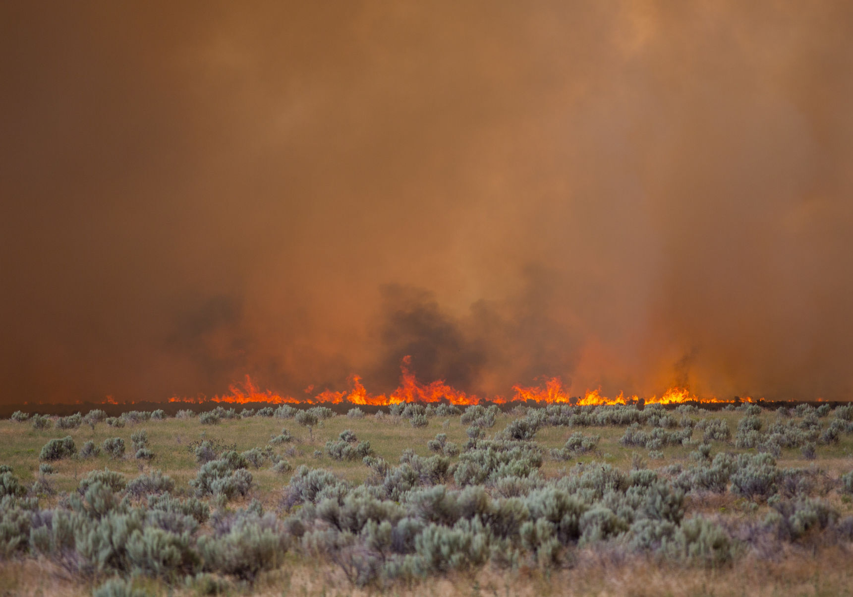 Wildfire burns near Declo